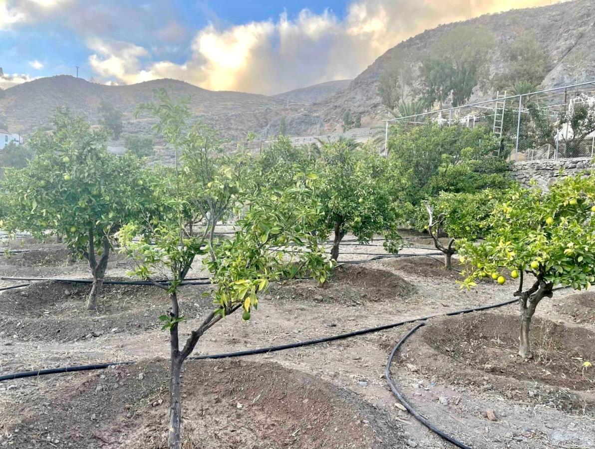 Casa Rural La Limera Con Piscina Privada Santa Lucia Exteriör bild